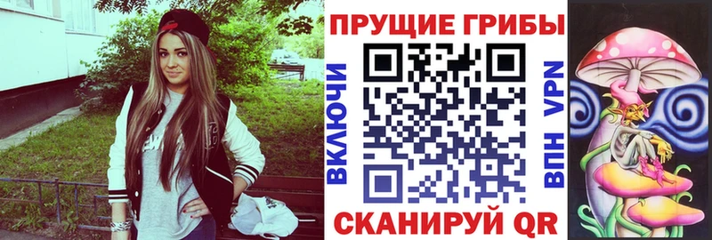 Купить где  Кубинка  Псилоцибиновые грибы GOLDEN TEACHER 